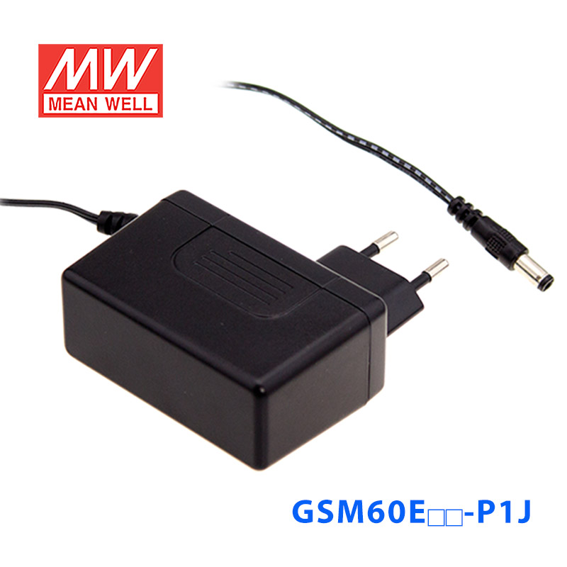 GSM60E09-P1J 产品图 1
